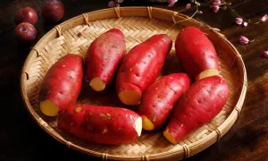 10 thực phẩm giàu chất xơ nên ăn thường xuyên